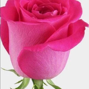 Meet your Posher, Banesa